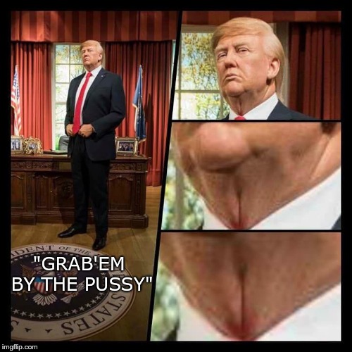 Grab'em | "GRAB'EM BY THE PUSSY" | image tagged in trump,grab'em | made w/ Imgflip meme maker