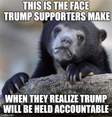 Confession Bear | THIS IS THE FACE TRUMP SUPPORTERS MAKE; WHEN THEY REALIZE TRUMP WILL BE HELD ACCOUNTABLE | image tagged in memes,confession bear | made w/ Imgflip meme maker