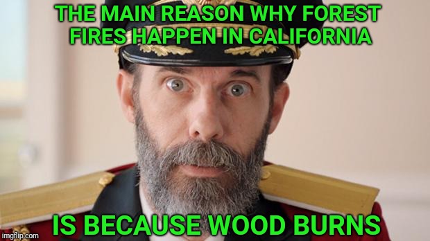 Decades of fire suppression causes larger fires | THE MAIN REASON WHY FOREST FIRES HAPPEN IN CALIFORNIA; IS BECAUSE WOOD BURNS | image tagged in capitan obvious,forest fire,california,climate change,fire | made w/ Imgflip meme maker
