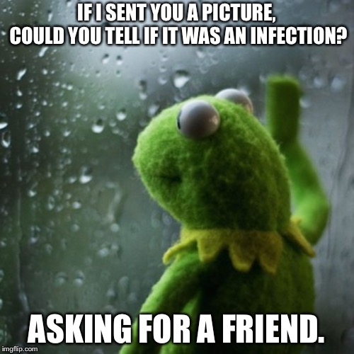 sometimes I wonder  |  IF I SENT YOU A PICTURE, COULD YOU TELL IF IT WAS AN INFECTION? ASKING FOR A FRIEND. | image tagged in sometimes i wonder | made w/ Imgflip meme maker