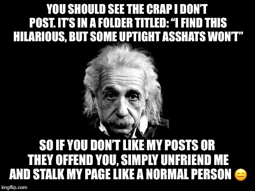 Albert Einstein 1 Meme | YOU SHOULD SEE THE CRAP I DON’T POST. IT’S IN A FOLDER TITLED: “I FIND THIS HILARIOUS, BUT SOME UPTIGHT ASSHATS WON’T”; SO IF YOU DON’T LIKE MY POSTS OR THEY OFFEND YOU, SIMPLY UNFRIEND ME AND STALK MY PAGE LIKE A NORMAL PERSON 😑 | image tagged in memes,albert einstein 1 | made w/ Imgflip meme maker