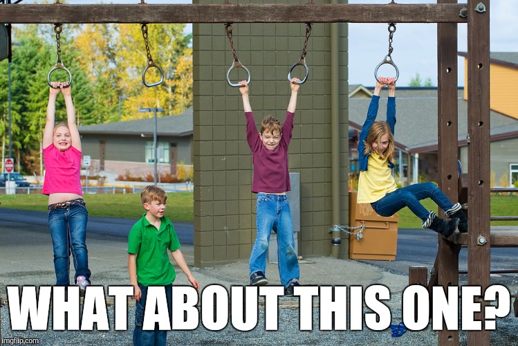Playground | WHAT ABOUT THIS ONE? | image tagged in playground | made w/ Imgflip meme maker
