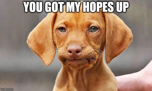 DANGIT DOG | YOU GOT MY HOPES UP | image tagged in dangit dog | made w/ Imgflip meme maker