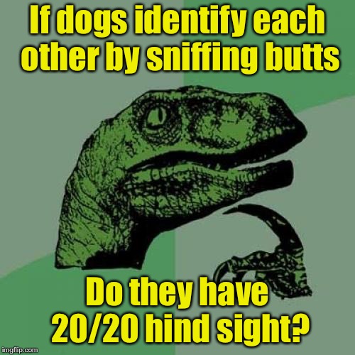 Philosoraptor Meme | If dogs identify each other by sniffing butts; Do they have 20/20 hind sight? | image tagged in memes,philosoraptor | made w/ Imgflip meme maker