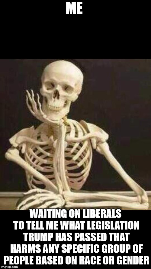 Still Waiting | ME; WAITING ON LIBERALS TO TELL ME WHAT LEGISLATION TRUMP HAS PASSED THAT HARMS ANY SPECIFIC GROUP OF PEOPLE BASED ON RACE OR GENDER | image tagged in skeleton waiting | made w/ Imgflip meme maker