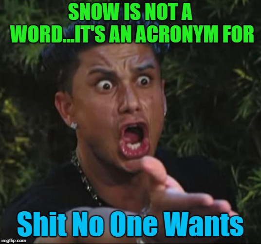 Just got some more snow last night!!! UGH! | SNOW IS NOT A WORD...IT'S AN ACRONYM FOR; Shit No One Wants | image tagged in memes,dj pauly d,snow,funny,acronyms,winter | made w/ Imgflip meme maker