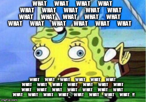 Mocking Spongebob Meme | WHAT        WHAT        WHAT        WHAT        WHAT        WHAT        WHAT        WHAT        WHAT        WHAT        WHAT        WHAT     | image tagged in memes,mocking spongebob | made w/ Imgflip meme maker