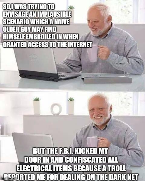 Hide the meme block Harold | SO,I WAS TRYING TO ENVISAGE AN IMPLAUSIBLE SCENARIO WHICH A NAIVE OLDER GUY MAY FIND HIMSELF EMBROILED IN WHEN GRANTED ACCESS TO THE INTERNET; BUT THE F.B.I. KICKED MY DOOR IN AND CONFISCATED ALL ELECTRICAL ITEMS BECAUSE A TROLL REPORTED ME FOR DEALING ON THE DARK NET | image tagged in memes,hide the pain harold | made w/ Imgflip meme maker