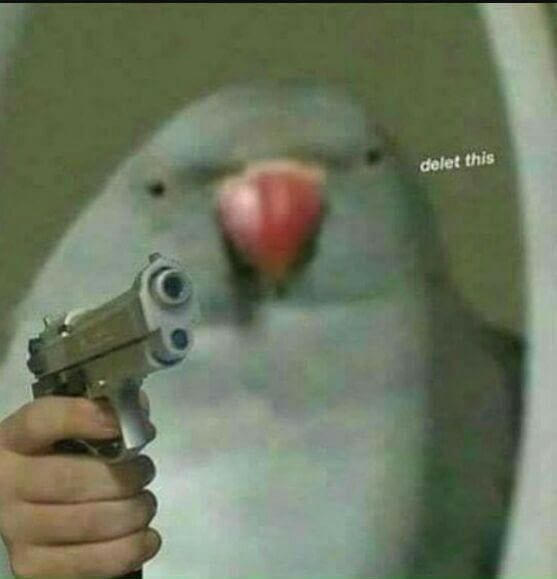 delet dis bird with m9 Blank Meme Template