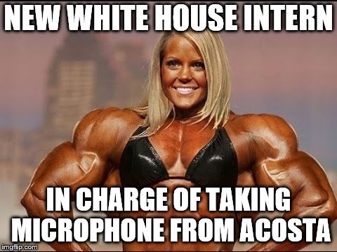 If Bill Clinton had the same type of intern we would have been spared the Clinton sex saga. | NEW WHITE HOUSE INTERN; IN CHARGE OF TAKING MICROPHONE FROM ACOSTA | image tagged in bodybuilder,white house,intern,acosta,microphone | made w/ Imgflip meme maker