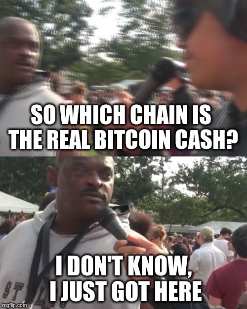 SO WHICH CHAIN IS THE REAL BITCOIN CASH? I DON'T KNOW, I JUST GOT HERE | image tagged in just got here guy | made w/ Imgflip meme maker