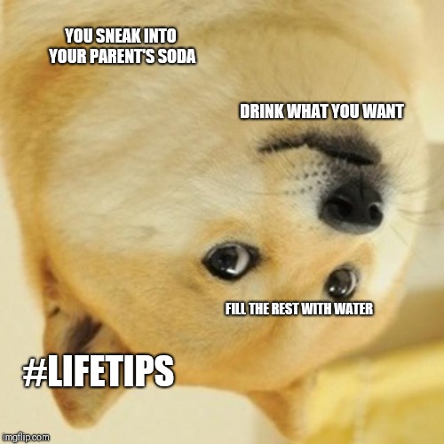Doge Meme | YOU SNEAK INTO YOUR PARENT'S SODA; DRINK WHAT YOU WANT; FILL THE REST WITH WATER; #LIFETIPS | image tagged in memes,doge | made w/ Imgflip meme maker