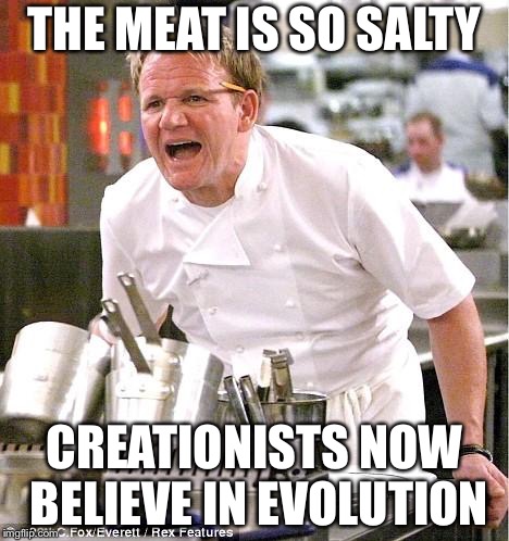 Chef Gordon Ramsay | THE MEAT IS SO SALTY; CREATIONISTS NOW BELIEVE IN EVOLUTION | image tagged in memes,chef gordon ramsay | made w/ Imgflip meme maker