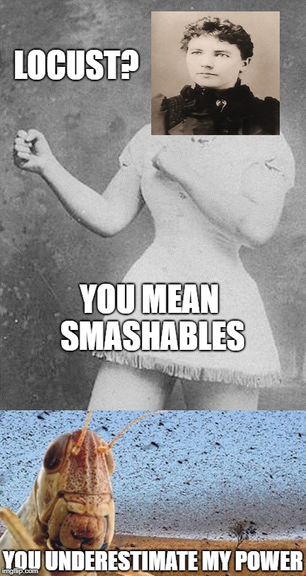 Overly Manly Larua Ingals Wilder 2 | LOCUST? YOU MEAN SMASHABLES; YOU UNDERESTIMATE MY POWER | image tagged in funny,overly manly man,memes,grasshopper,insects,you underestimate my power | made w/ Imgflip meme maker