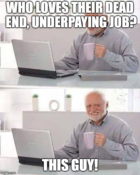 We love our jobs! | WHO LOVES THEIR DEAD END, UNDERPAYING JOB? THIS GUY! | image tagged in memes,hide the pain harold,dead end job,job,work,work sucks | made w/ Imgflip meme maker