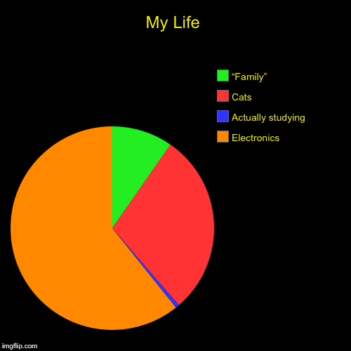 My Life | Electronics , Actually studying , Cats, “Family” | image tagged in funny,pie charts | made w/ Imgflip chart maker