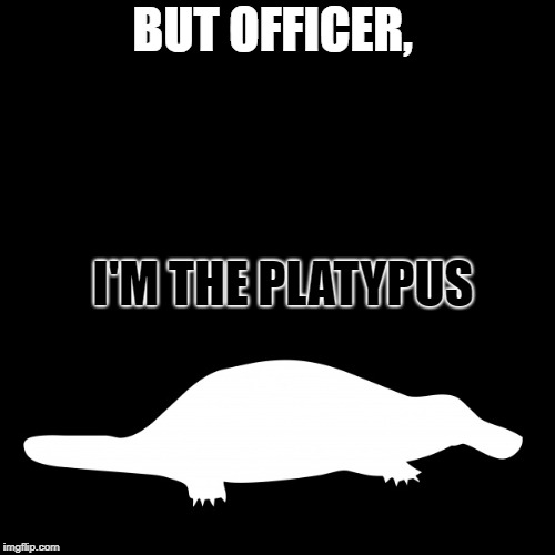 no stupider than stone wash | BUT OFFICER, I'M THE PLATYPUS | image tagged in the game | made w/ Imgflip meme maker