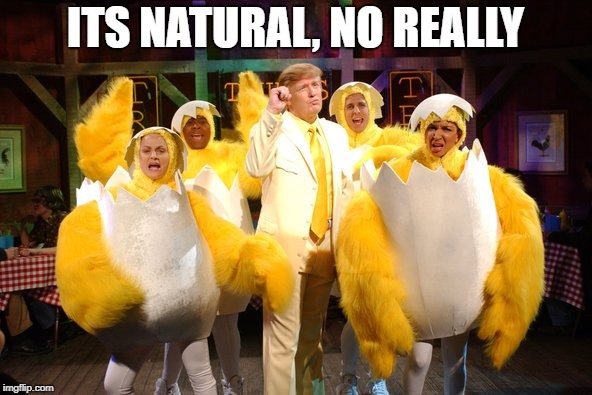 Chicken Trump | ITS NATURAL, NO REALLY | image tagged in chicken trump | made w/ Imgflip meme maker