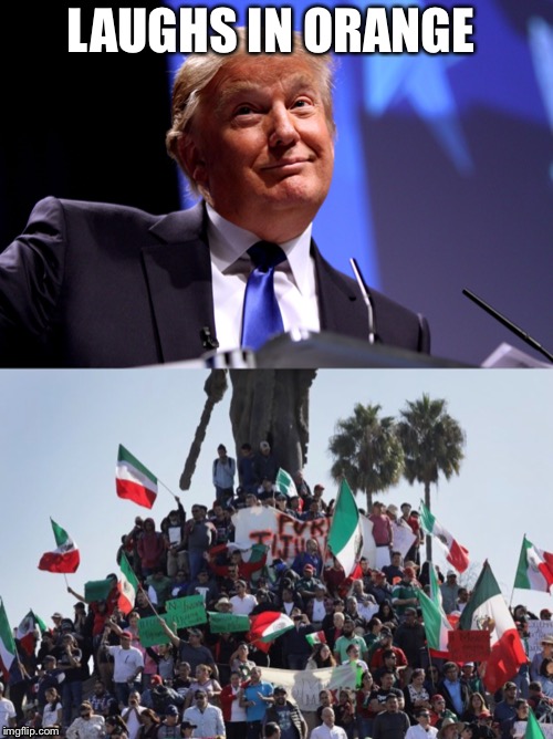 LAUGHS IN ORANGE | image tagged in donald trump no2 | made w/ Imgflip meme maker