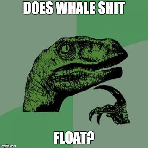 Random late-at-night thought: | DOES WHALE SHIT; FLOAT? | image tagged in memes,philosoraptor,shit,whales | made w/ Imgflip meme maker