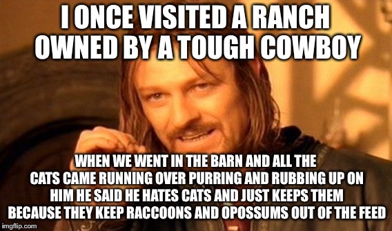 One Does Not Simply Meme | I ONCE VISITED A RANCH OWNED BY A TOUGH COWBOY WHEN WE WENT IN THE BARN AND ALL THE CATS CAME RUNNING OVER PURRING AND RUBBING UP ON HIM HE  | image tagged in memes,one does not simply | made w/ Imgflip meme maker