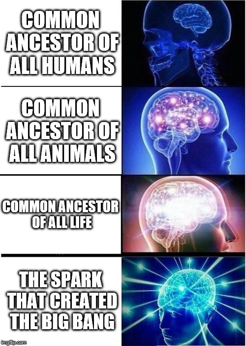 what came first | COMMON ANCESTOR OF ALL HUMANS; COMMON ANCESTOR OF ALL ANIMALS; COMMON ANCESTOR OF ALL LIFE; THE SPARK THAT CREATED THE BIG BANG | image tagged in memes,expanding brain | made w/ Imgflip meme maker