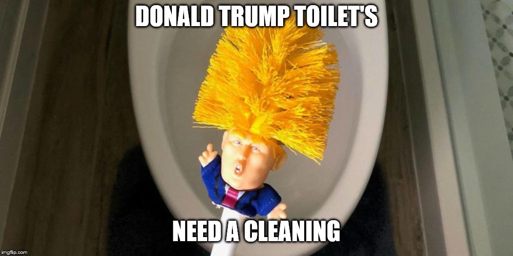 Donald Trump Toilet | DONALD TRUMP TOILET'S; NEED A CLEANING | image tagged in donald trump toilet,trump,funny | made w/ Imgflip meme maker