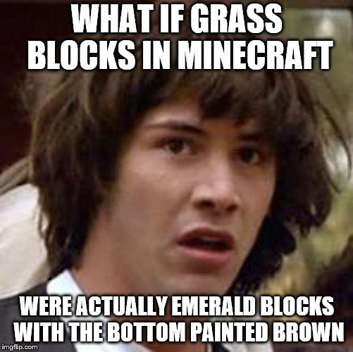 What if | WHAT IF GRASS BLOCKS IN MINECRAFT; WERE ACTUALLY EMERALD BLOCKS WITH THE BOTTOM PAINTED BROWN | image tagged in what if | made w/ Imgflip meme maker