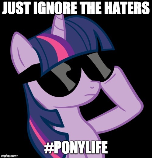 What all the cool kids do! | JUST IGNORE THE HATERS; #PONYLIFE | image tagged in twilight with shades,memes,ponies,bronies,haters,ignore the haters | made w/ Imgflip meme maker