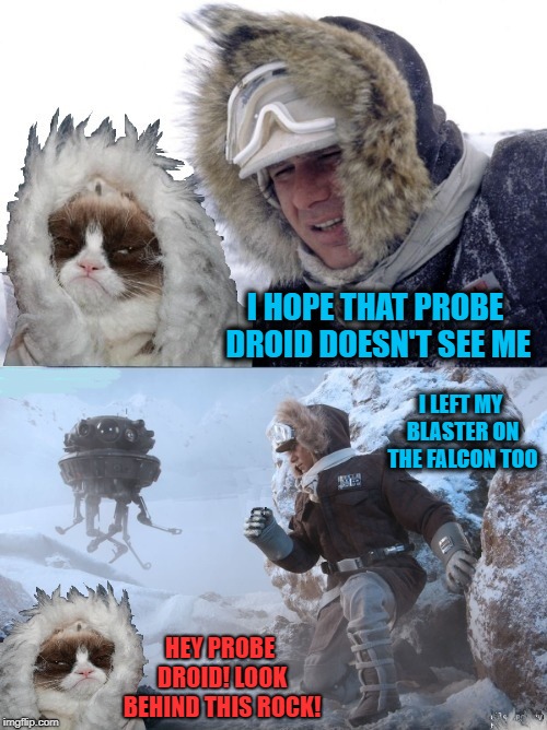 The Feline Strikes Back | I HOPE THAT PROBE DROID DOESN'T SEE ME; I LEFT MY BLASTER ON THE FALCON TOO; HEY PROBE DROID! LOOK BEHIND THIS ROCK! | image tagged in funny memes,grumpy cat,han solo,hoth,cold,cat | made w/ Imgflip meme maker