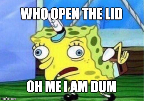 Mocking Spongebob | WHO OPEN THE LID; OH ME I AM DUM | image tagged in memes,mocking spongebob | made w/ Imgflip meme maker