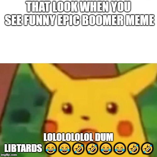 Surprised Pikachu Meme | THAT LOOK WHEN YOU SEE FUNNY EPIC BOOMER MEME LOLOLOLOLOL DUM LIBTARDS  | image tagged in memes,surprised pikachu | made w/ Imgflip meme maker