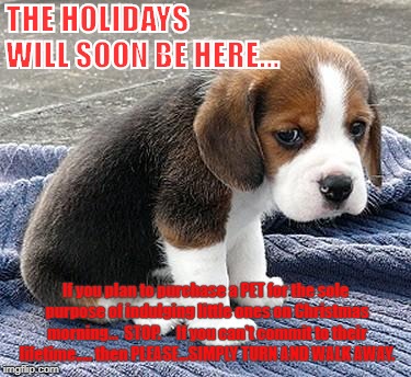 sad puppy | THE HOLIDAYS WILL SOON BE HERE... If you plan to purchase a PET for the sole purpose of indulging little ones on Christmas morning... 
STOP.     If you can't commit to their lifetime..... then PLEASE...SIMPLY TURN AND WALK AWAY. | image tagged in sad puppy | made w/ Imgflip meme maker