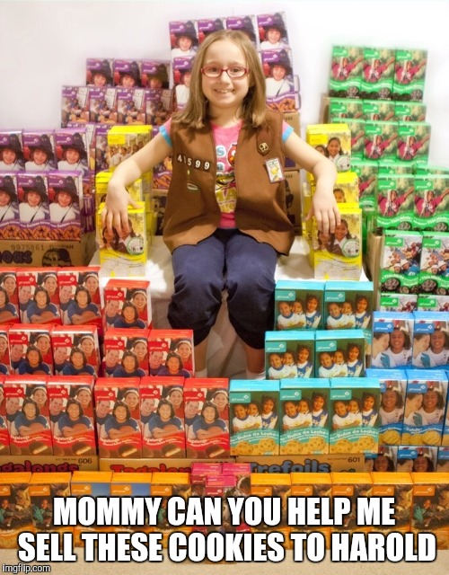 Girl Scout Cookies | MOMMY CAN YOU HELP ME SELL THESE COOKIES TO HAROLD | image tagged in girl scout cookies | made w/ Imgflip meme maker