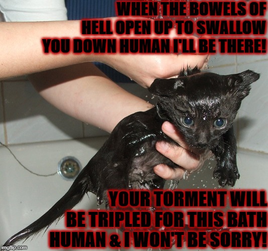 WHEN THE BOWELS OF HELL OPEN UP TO SWALLOW YOU DOWN HUMAN I'LL BE THERE! YOUR TORMENT WILL BE TRIPLED FOR THIS BATH HUMAN & I WON'T BE SORRY! | image tagged in bowels of hell | made w/ Imgflip meme maker