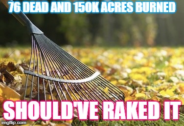 Rake | 76 DEAD AND 150K ACRES BURNED; SHOULD'VE RAKED IT | image tagged in rake | made w/ Imgflip meme maker