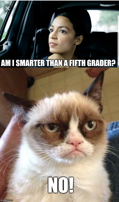 AM I SMARTER THAN A FIFTH GRADER? NO! | image tagged in memes,grumpy cat reverse,alexandria deep thoughts | made w/ Imgflip meme maker