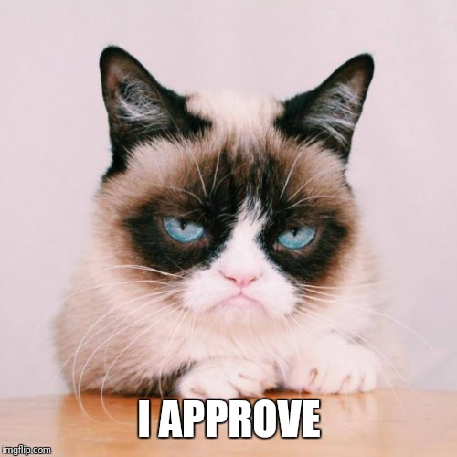 grumpy cat again | I APPROVE | image tagged in grumpy cat again | made w/ Imgflip meme maker