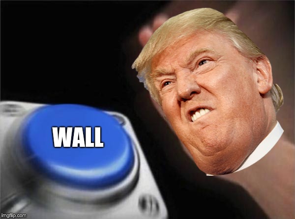 WALL | image tagged in border wall | made w/ Imgflip meme maker