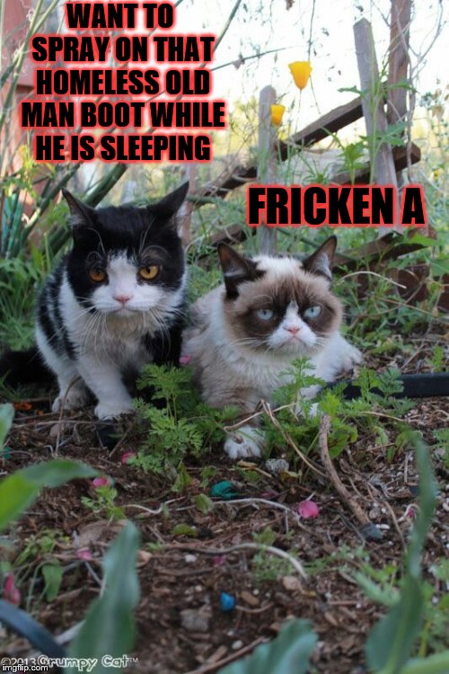 grumpy cat and friend | WANT TO SPRAY ON THAT HOMELESS OLD MAN BOOT WHILE HE IS SLEEPING; FRICKEN A | image tagged in grumpy cat,funny,cat | made w/ Imgflip meme maker