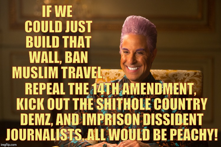 Hunger Games/Caesar Flickerman (Stanley Tucci) "heh heh heh" | IF WE COULD JUST BUILD THAT WALL, BAN MUSLIM TRAVEL, REPEAL THE 14TH AMENDMENT, KICK OUT THE SHITHOLE COUNTRY DEMZ, AND IMPRISON DISSIDENT J | image tagged in hunger games/caesar flickerman stanley tucci heh heh heh | made w/ Imgflip meme maker