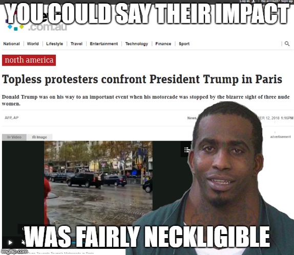 Pretty neckligible impact | YOU COULD SAY THEIR IMPACT; WAS FAIRLY NECKLIGIBLE | image tagged in huge neck,mugshot,anti trump protest,paris | made w/ Imgflip meme maker