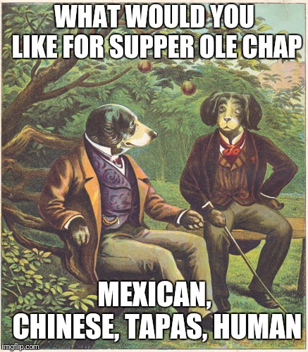 Dogs Talking | WHAT WOULD YOU LIKE FOR SUPPER OLE CHAP MEXICAN, CHINESE, TAPAS, HUMAN | image tagged in dogs talking | made w/ Imgflip meme maker