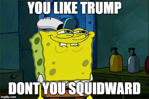 Don't You Squidward Meme | YOU LIKE TRUMP; DONT YOU SQUIDWARD | image tagged in memes,dont you squidward | made w/ Imgflip meme maker