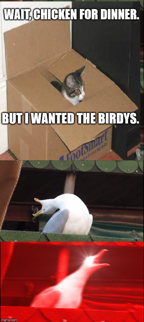 Chicken??? | WAIT, CHICKEN FOR DINNER. BUT I WANTED THE BIRDYS. | image tagged in mmmmm chicken | made w/ Imgflip meme maker