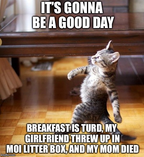 Cat Walking Like A Boss | IT’S GONNA BE A GOOD DAY; BREAKFAST IS TURD, MY GIRLFRIEND THREW UP IN MOI LITTER BOX, AND MY MOM DIED | image tagged in cat walking like a boss | made w/ Imgflip meme maker