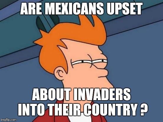 Futurama Fry | ARE MEXICANS UPSET; ABOUT INVADERS INTO THEIR COUNTRY ? | image tagged in memes,futurama fry | made w/ Imgflip meme maker