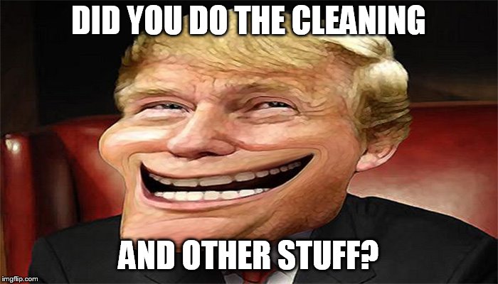trump troll face | DID YOU DO THE CLEANING AND OTHER STUFF? | image tagged in trump troll face | made w/ Imgflip meme maker