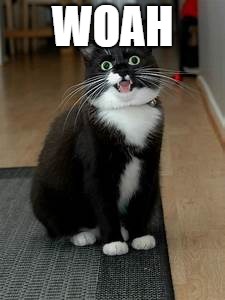 Super Stoner Cat | WOAH | image tagged in super stoner cat | made w/ Imgflip meme maker