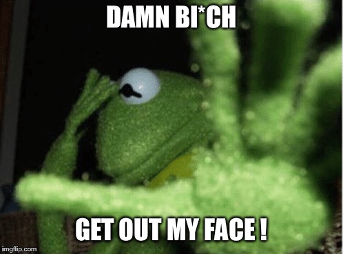 DAMN BI*CH; GET OUT MY FACE ! | image tagged in kermit the frog,talk to the hand,leave me alone,kermit lipton,dont like you | made w/ Imgflip meme maker